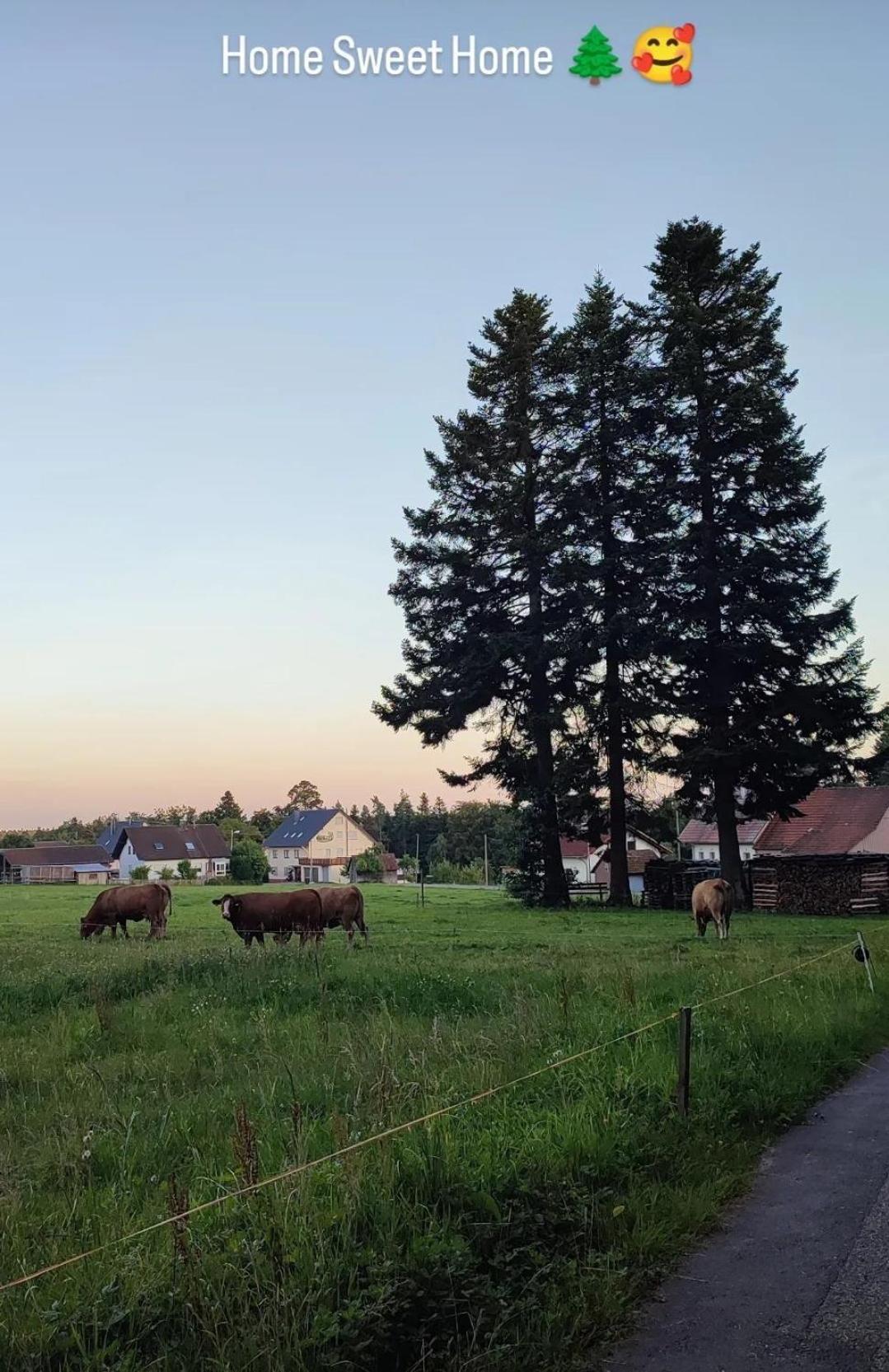 Chickenhill Blackforest, Ferienwohnung Grosshans Бад Вилдбад Екстериор снимка