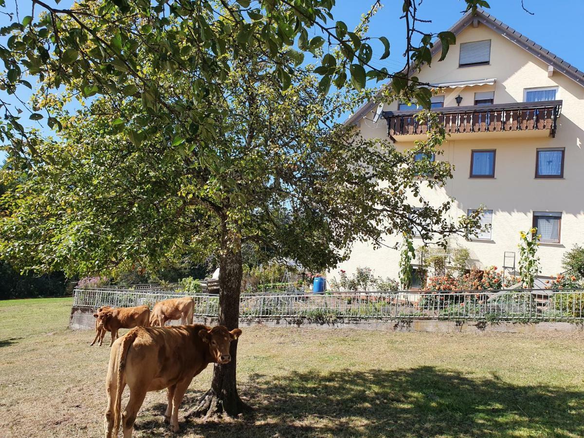 Chickenhill Blackforest, Grosse Ferienwohnung Im Schwarzwald Бад Вилдбад Екстериор снимка